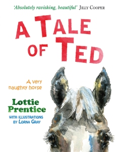 9780957495593_A Tale of Ted_paperback